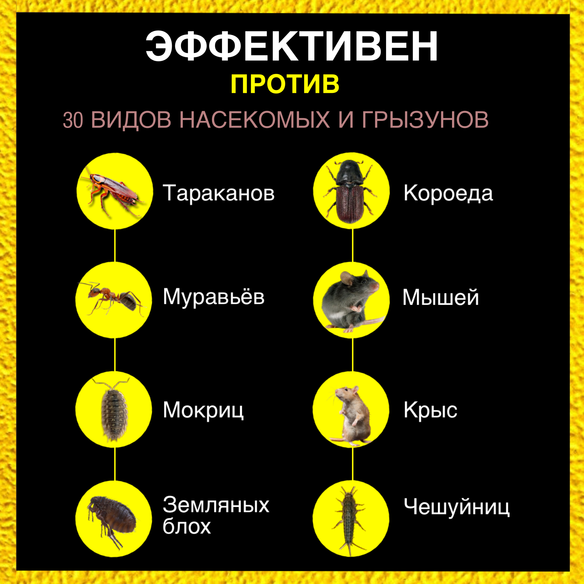 Средство от тараканов и муравьев порошок Тиурам Ti150, 150 г - купить в  Москве, цены на Мегамаркет | 600005638774