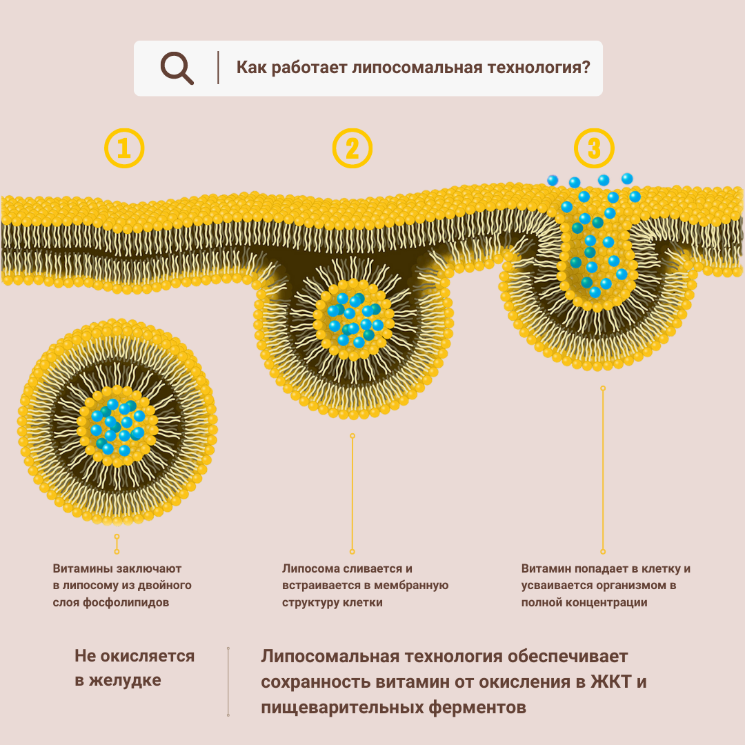 Липосомальный комплекс витаминов. Липосомальный витамин с. Липосомальный витамин д3. Липосомальный q10. Липосомальная форма витамина с.