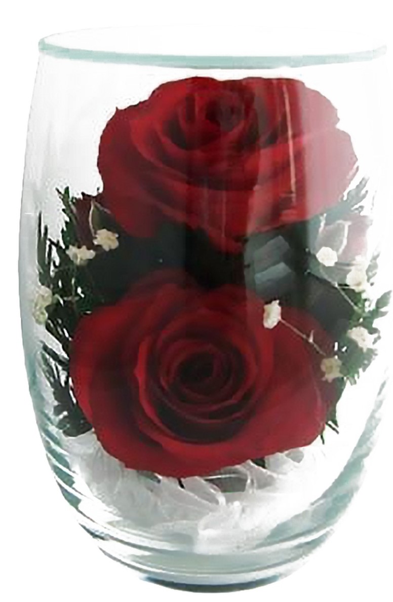 Цветы В Вакууме Купить Оптом