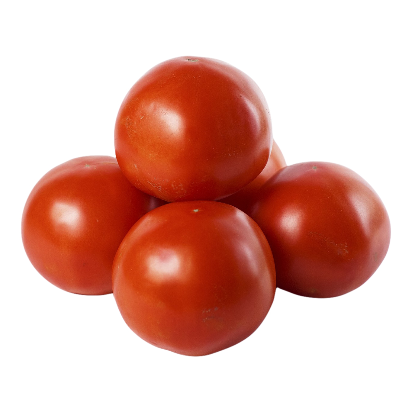 томат ботаник. помидор томат ботаническая иллюстрация. помидоры сона. томаты botanica 425 целые очищенные. томат восторг садовода.