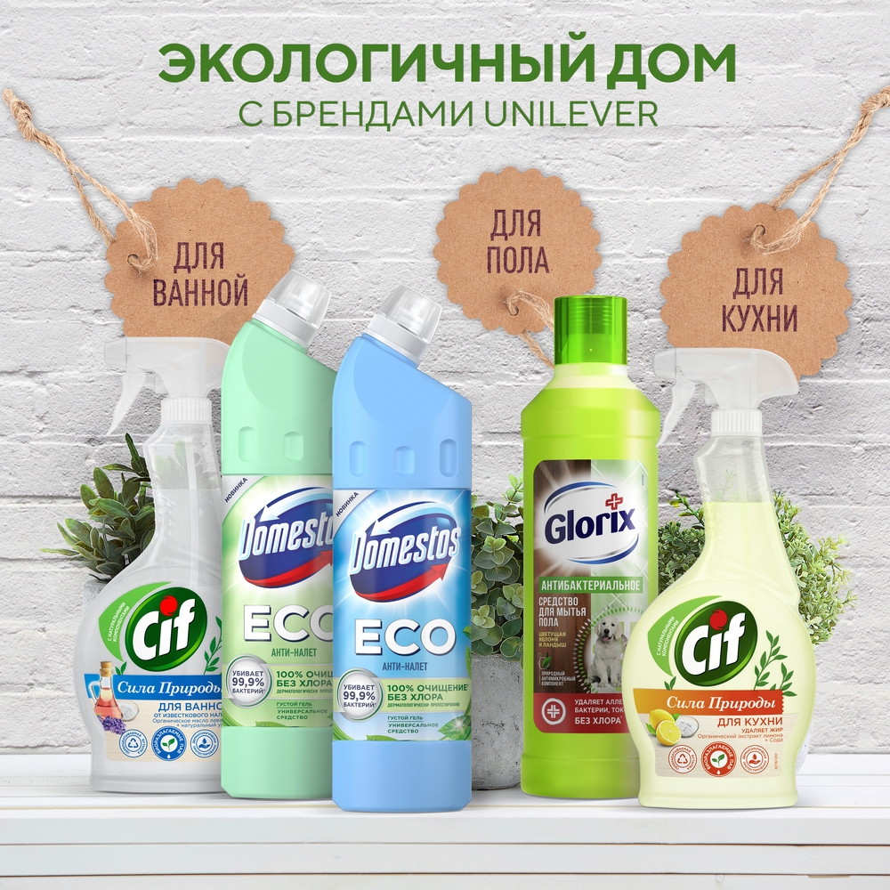 Средство чистящее Domestos Eco Свежесть леса универсальное 750мл - отзывы  покупателей на Мегамаркет | 100028049417