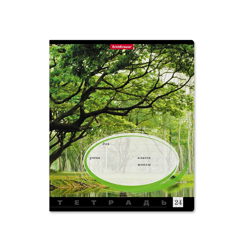 панели пвх береза. Rifle paper postcard set. векторная береза. берёза символ россии для дошкольников. тетрадь береза деревня ветер 2 класс.