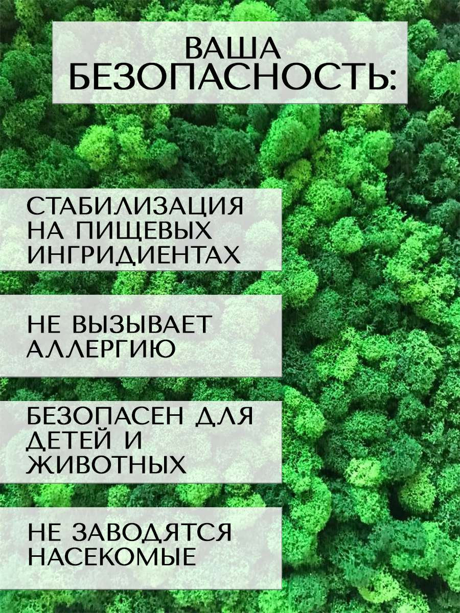 Стабилизированный мох зелёный, 500 г купить в интернет-магазине, цены на  Мегамаркет