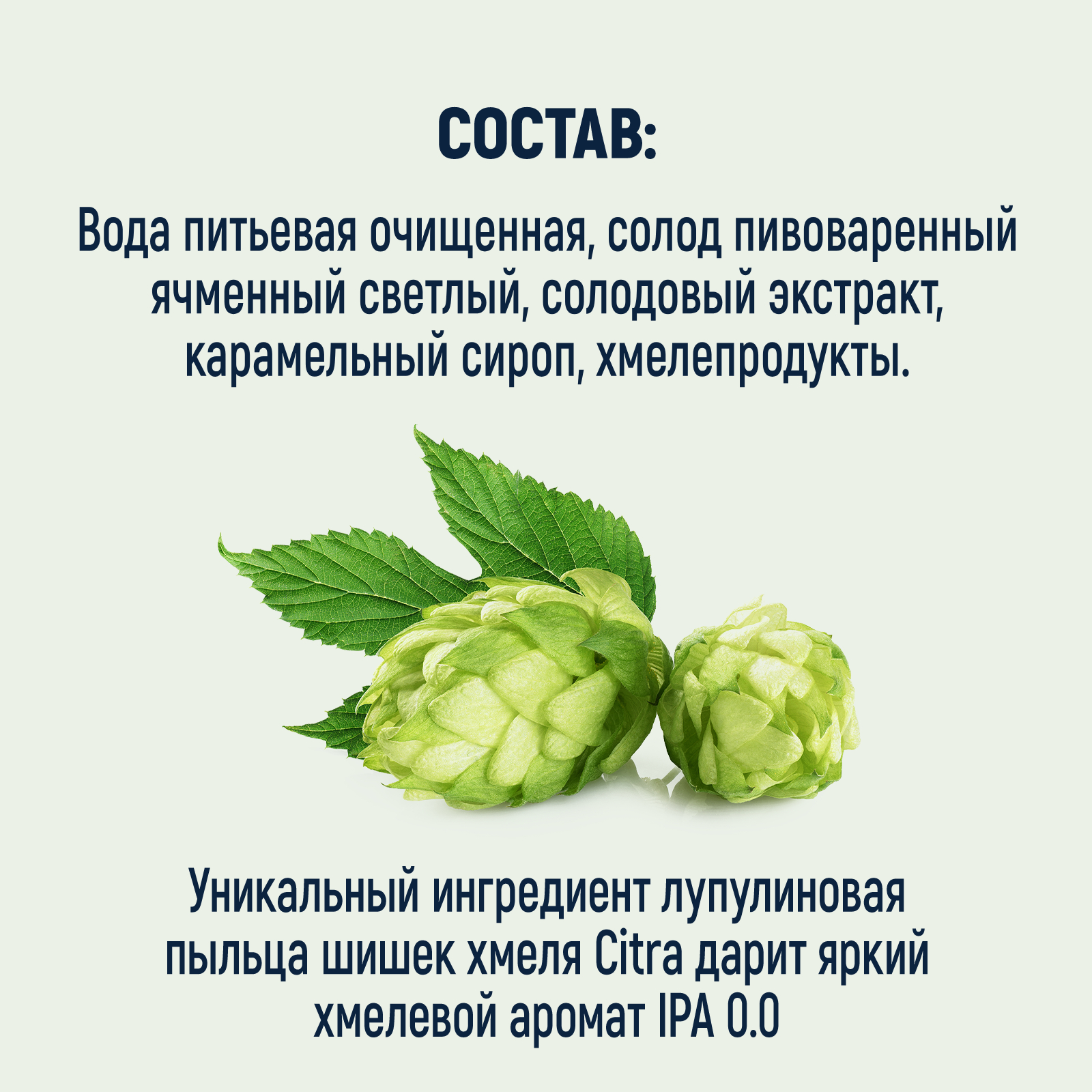 Купить пиво безалкогольное Горьковская пивоварня India Pale Ale светлое  0,33 л, цены на Мегамаркет | Артикул: 100028419279