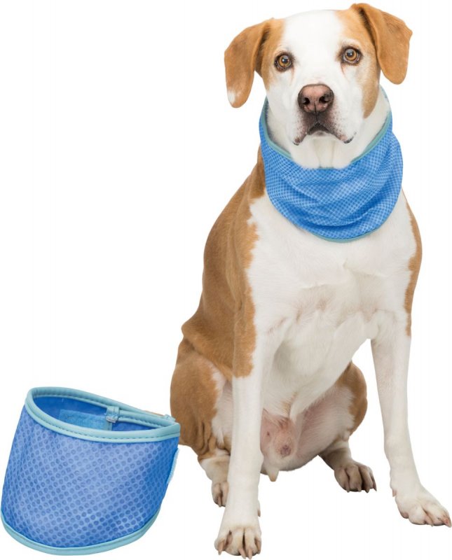 Охлаждающая бандана для собак, M: 28–40 см, синий, Trixie (30137)