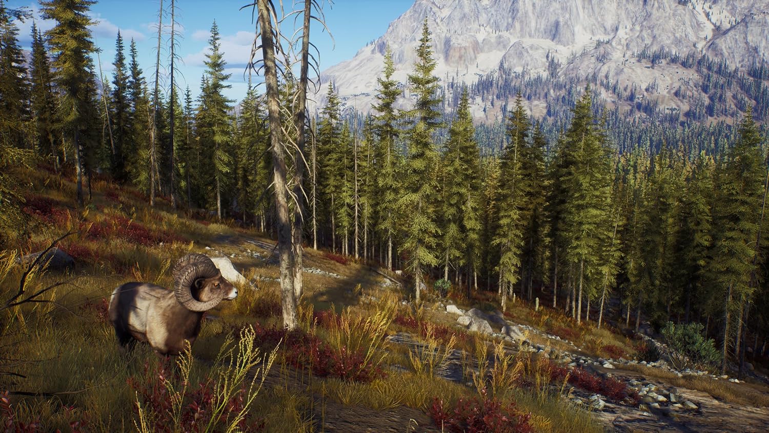Way of the hunter сохранения. Way of the hunter игра. way of the hunter 2025. way of the hunter болота. way of the hunter: elite edition.
