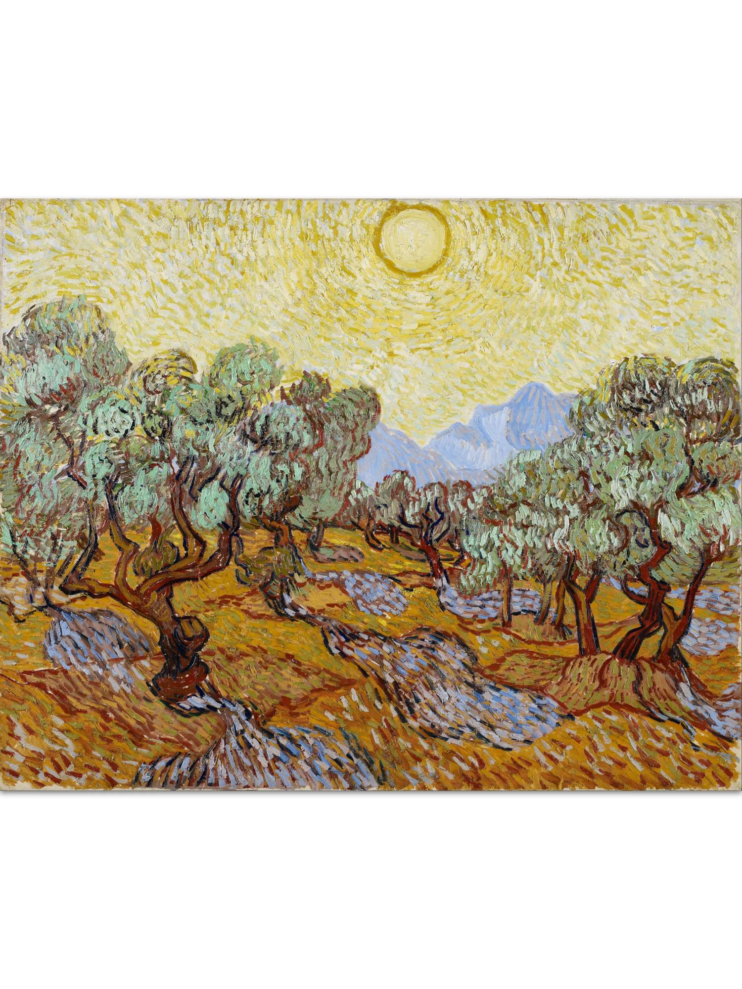 Картины Ван Гога "Оливковые деревья + Оливковая роща"
