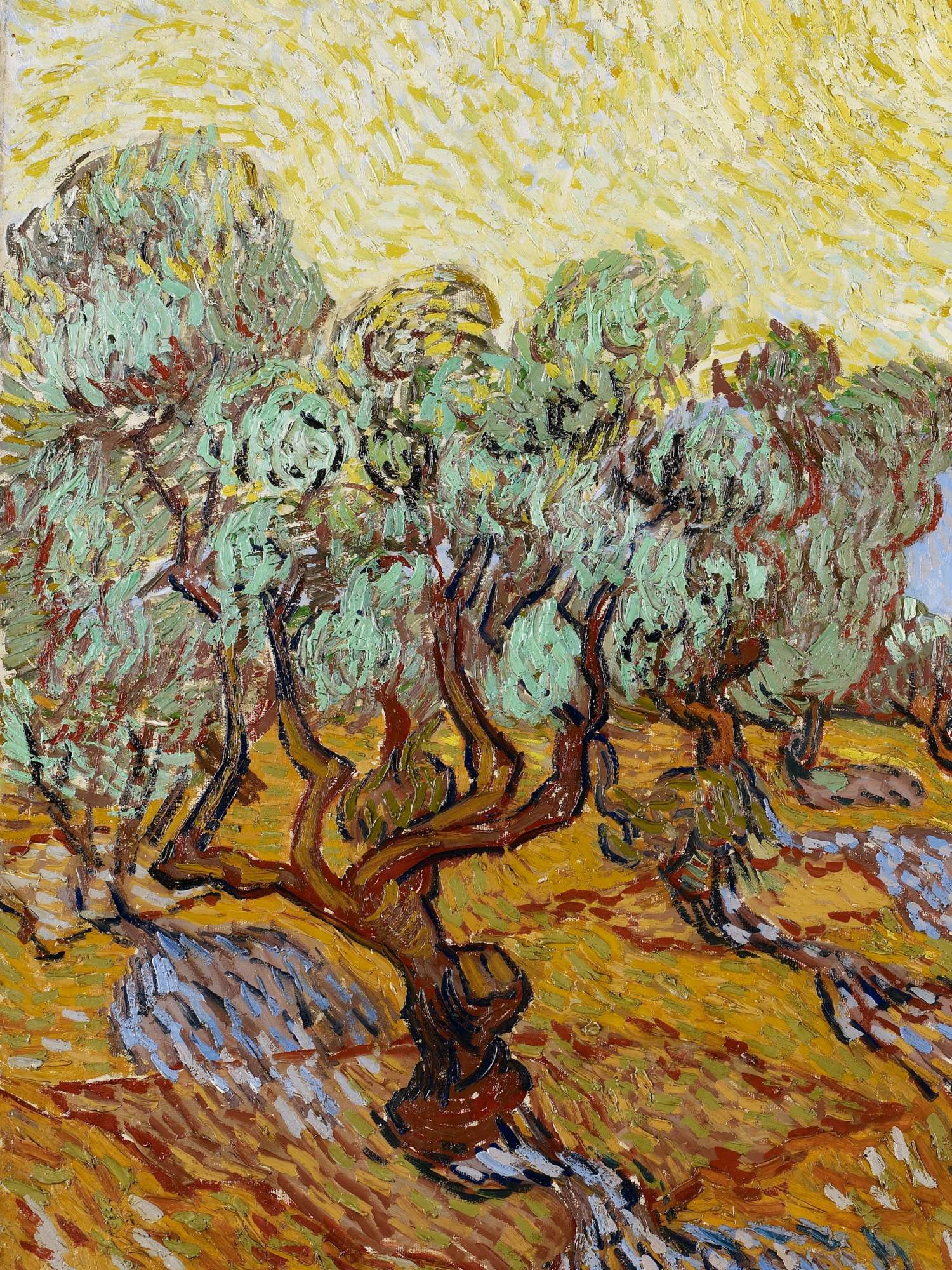 Картины Ван Гога "Оливковые деревья + Оливковая роща"