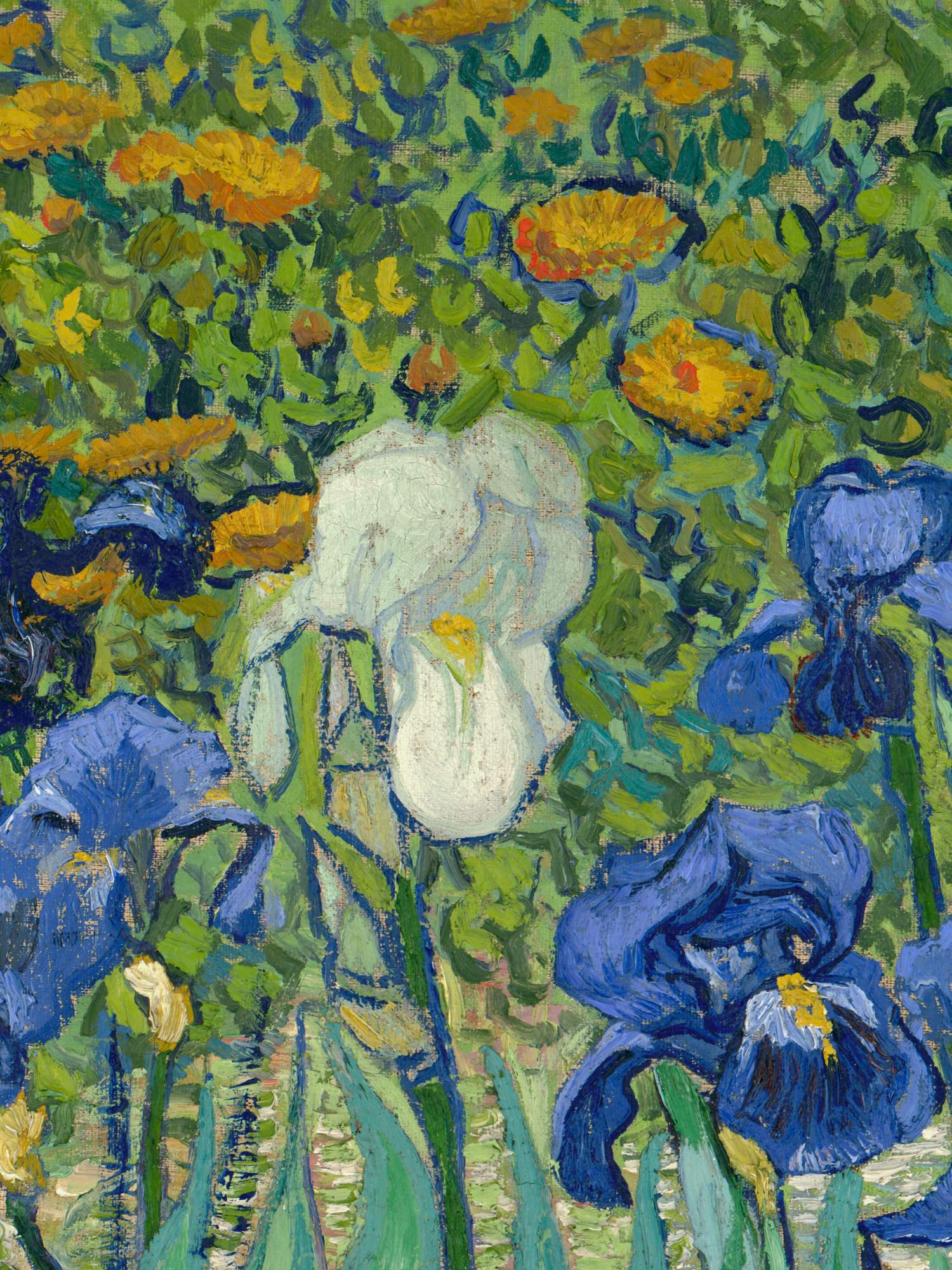 Irises, 1889, Vincent van Gogh. The j. Paul Getty Museum.