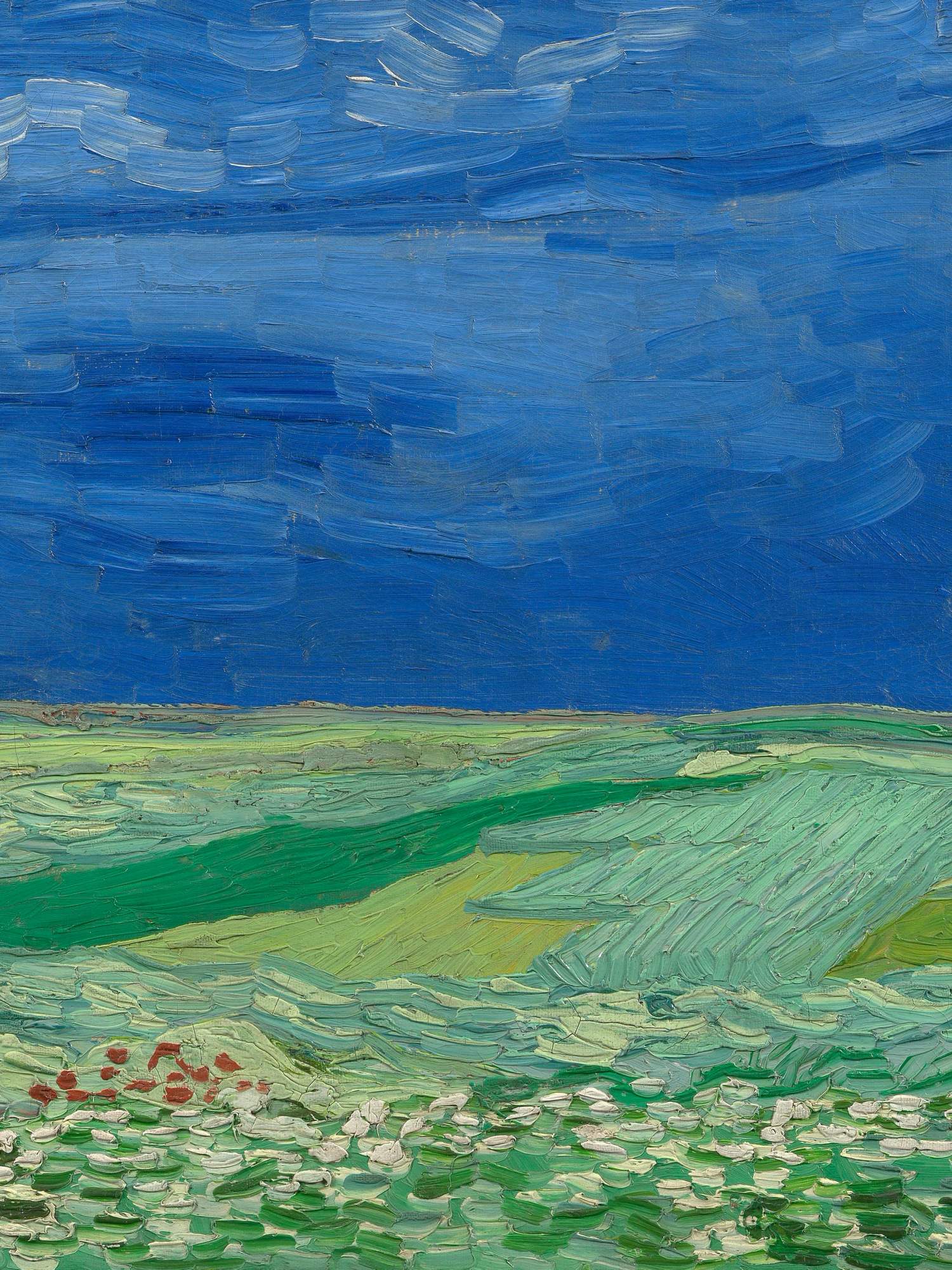 Винсент Ван Гог the Plain of Auvers. Винсент Ван Гог Wheat fields. Van Gogh Wheat field. Plain near Auvers.