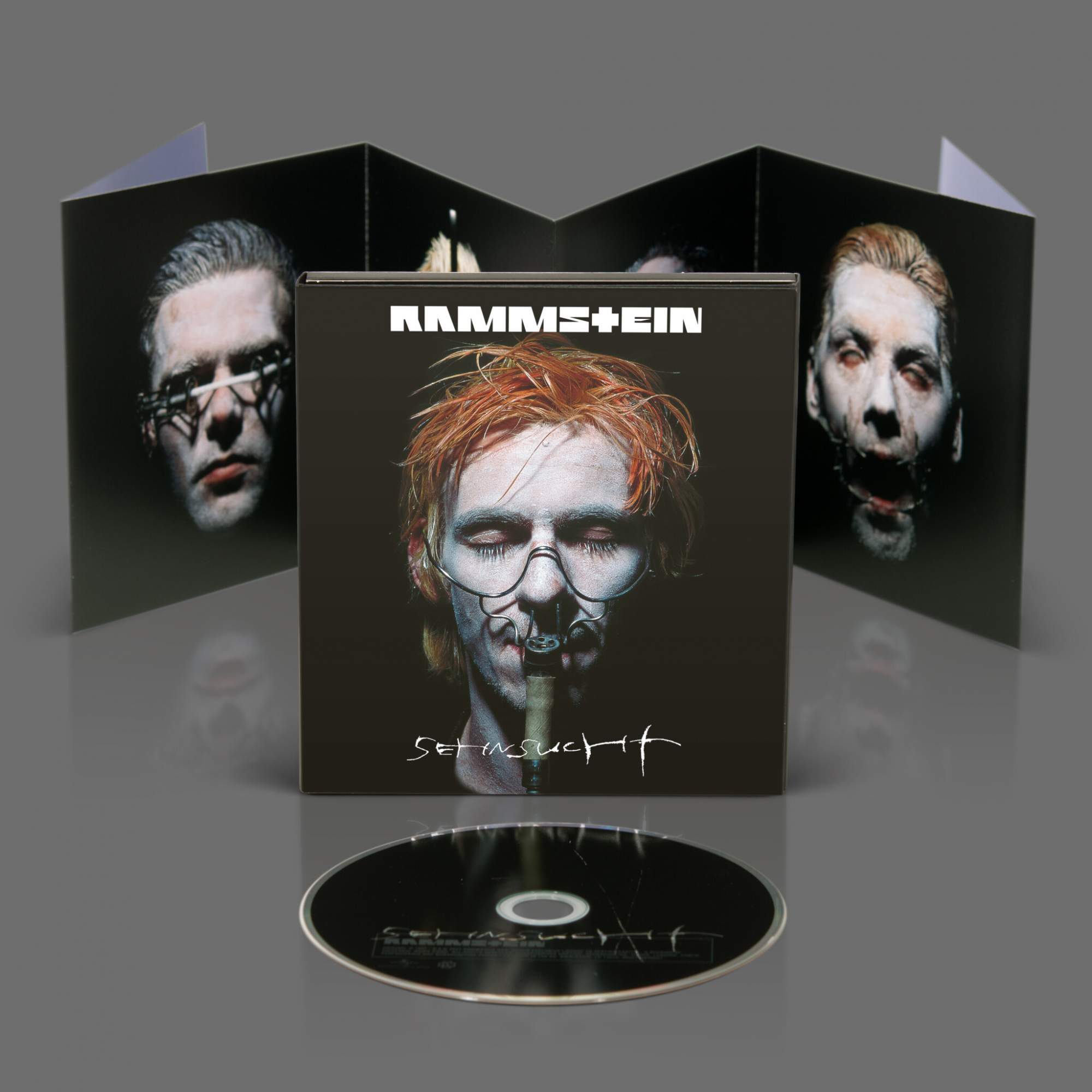 Rammstein sehnsucht альбом. Рамштайн Зензухт обложки. Rammstein CD диск. Рамштайн альбом Зензухт.