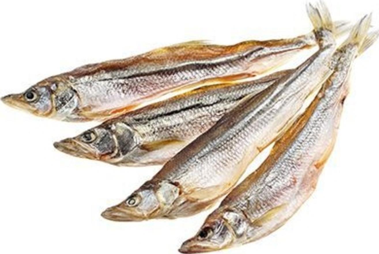 корюшка дальневосточная сушеная сушеная. корюшка зубатка дальневосточная. рыба корюшка зубарь. корюшка дальневосточная вяленая. корюшка вяленая ладожская 100г.