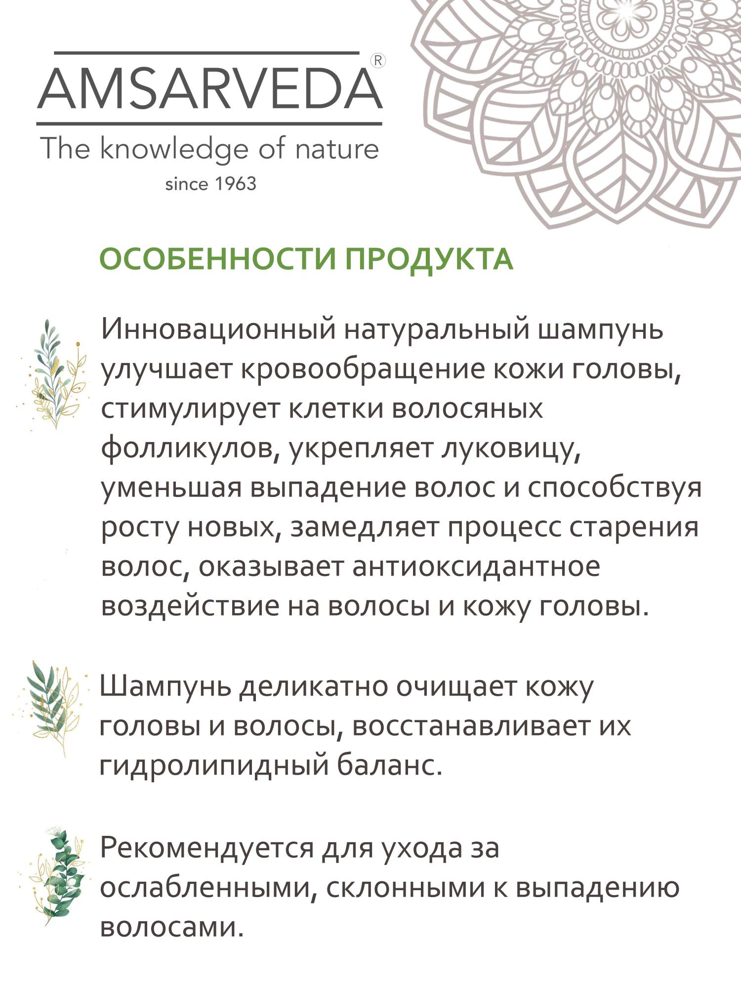 Купить шампунь AMSARVEDA с мятой, амлой и имбирем Shampoo Hair Loss Active  Rejuvenation, 250 мл, цены на Мегамаркет | Артикул: 600004874504