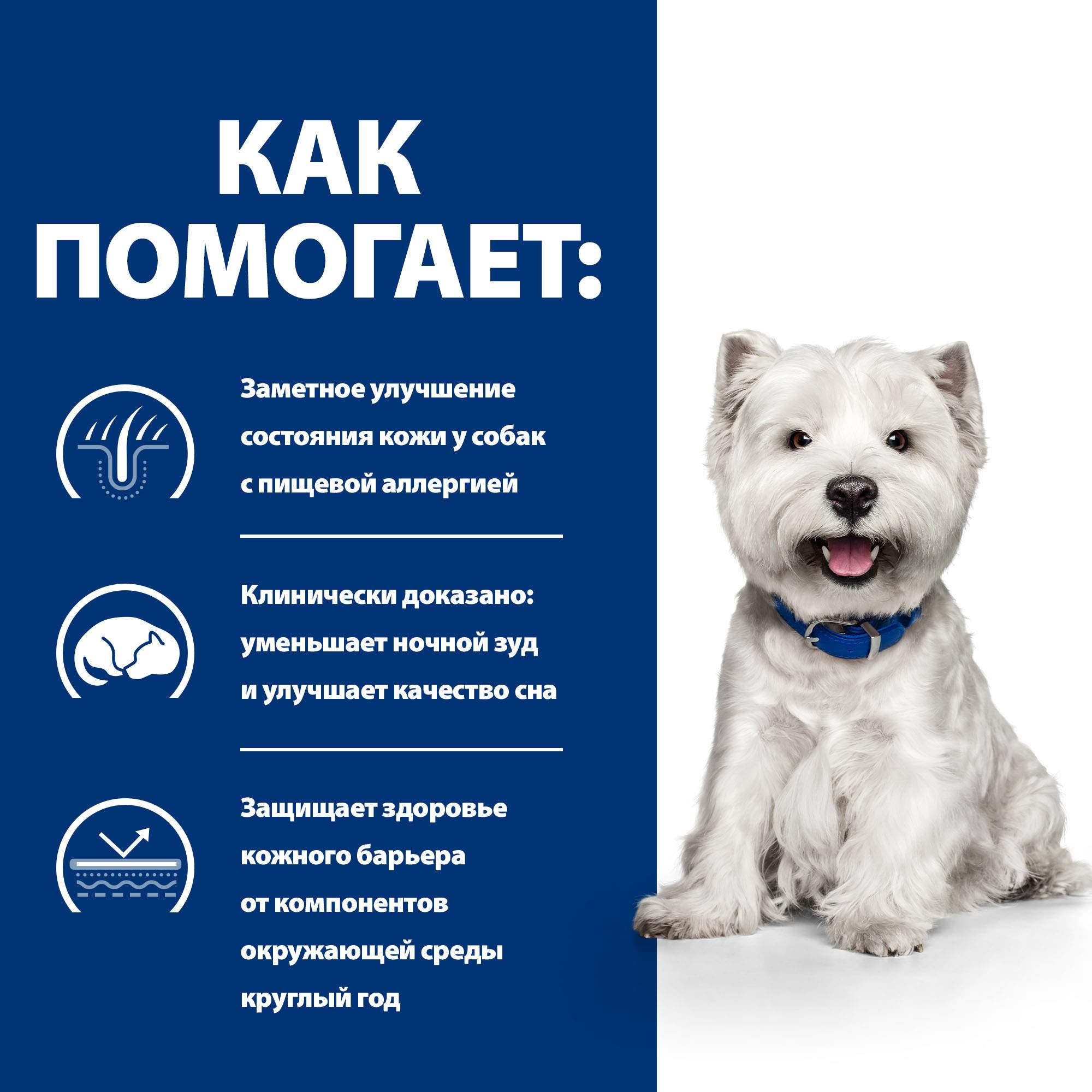 Hills Derm Complete Для Собак Купить