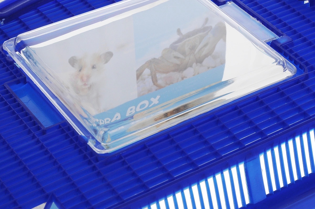 Аквариум-террариум Fauna International Aqua-Terra Box, с ручками, в ассортименте, 1,3 л