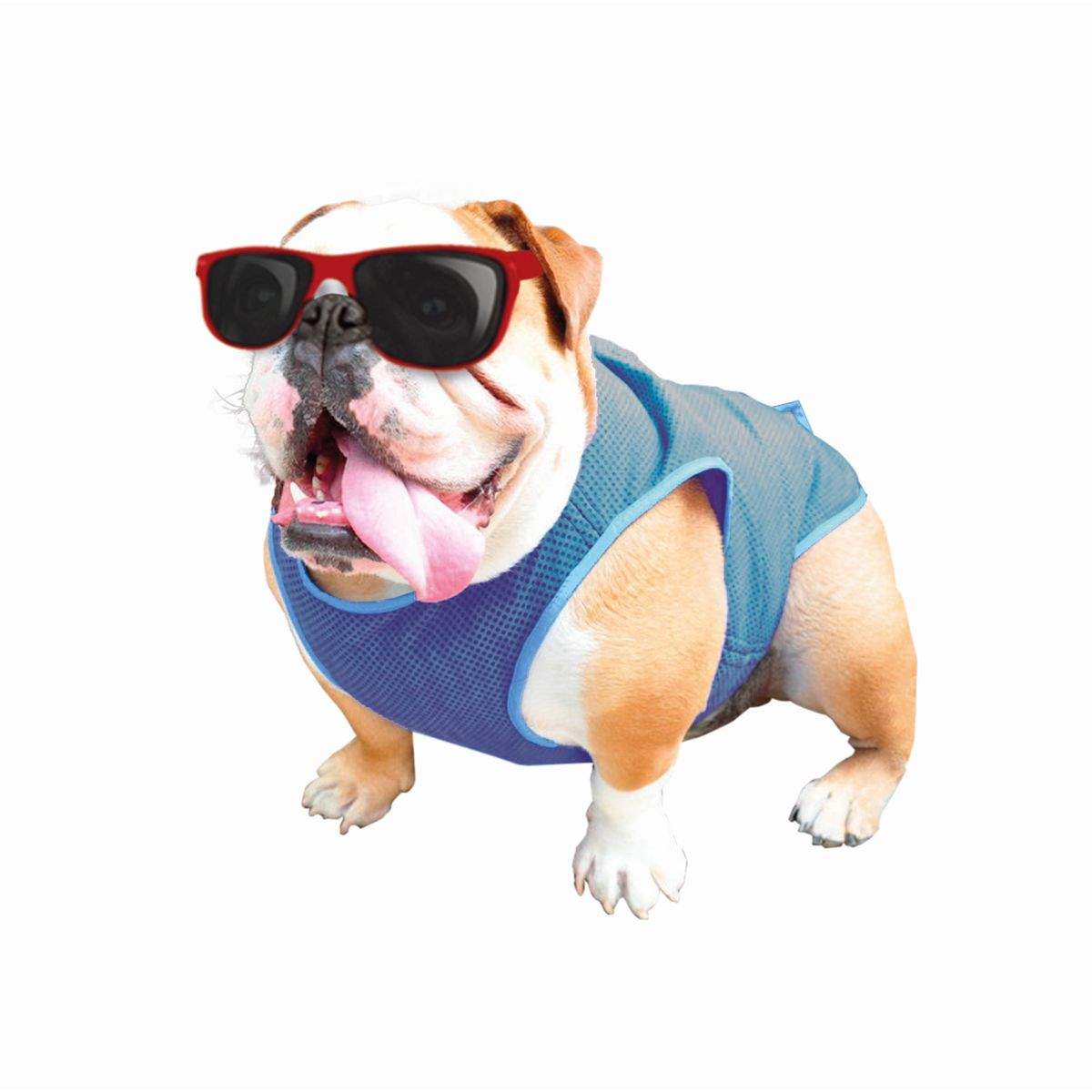 Жилет для собак Nobby Cooling-West, охлаждающий, голубой, 37 х 85 см