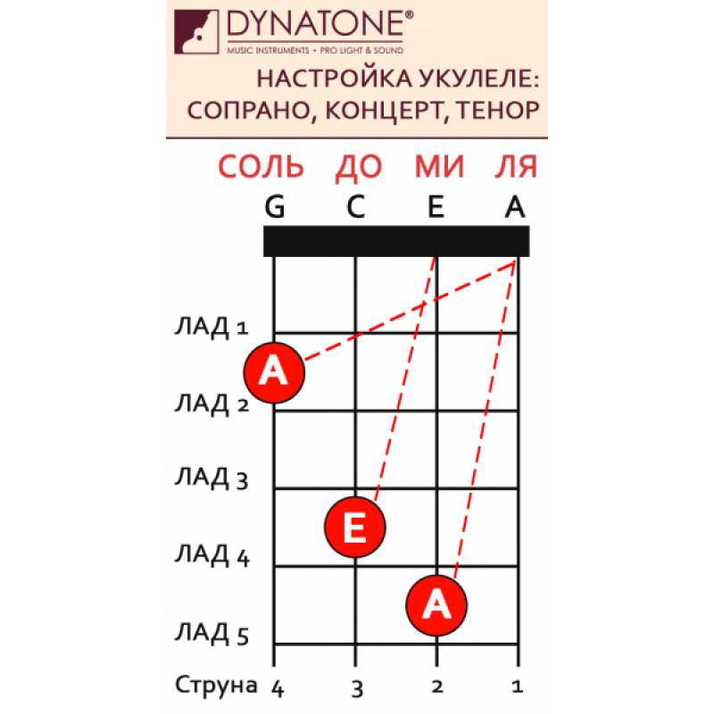 расположение струн на укулеле сопрано правильное
