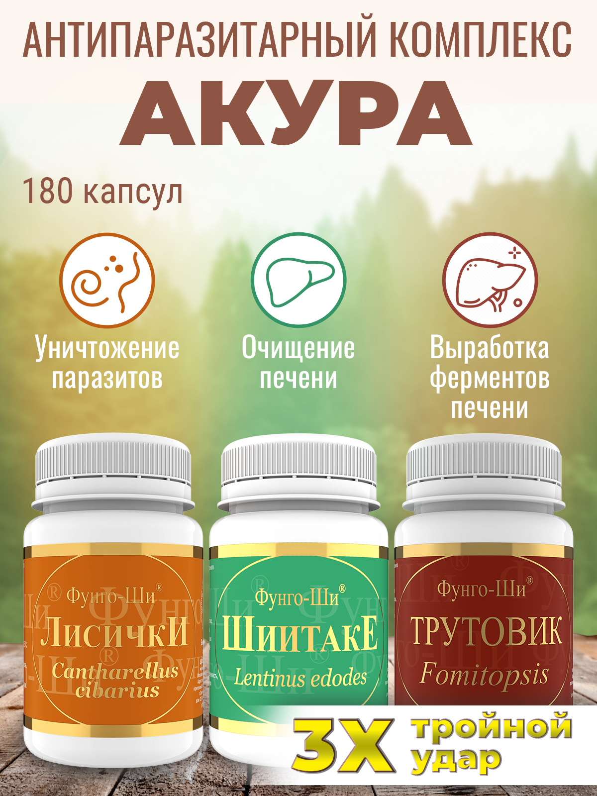 Лечебная программа Акура Грибная Аптека капсулы 180 шт. - отзывы  покупателей на Мегамаркет | 600001812696