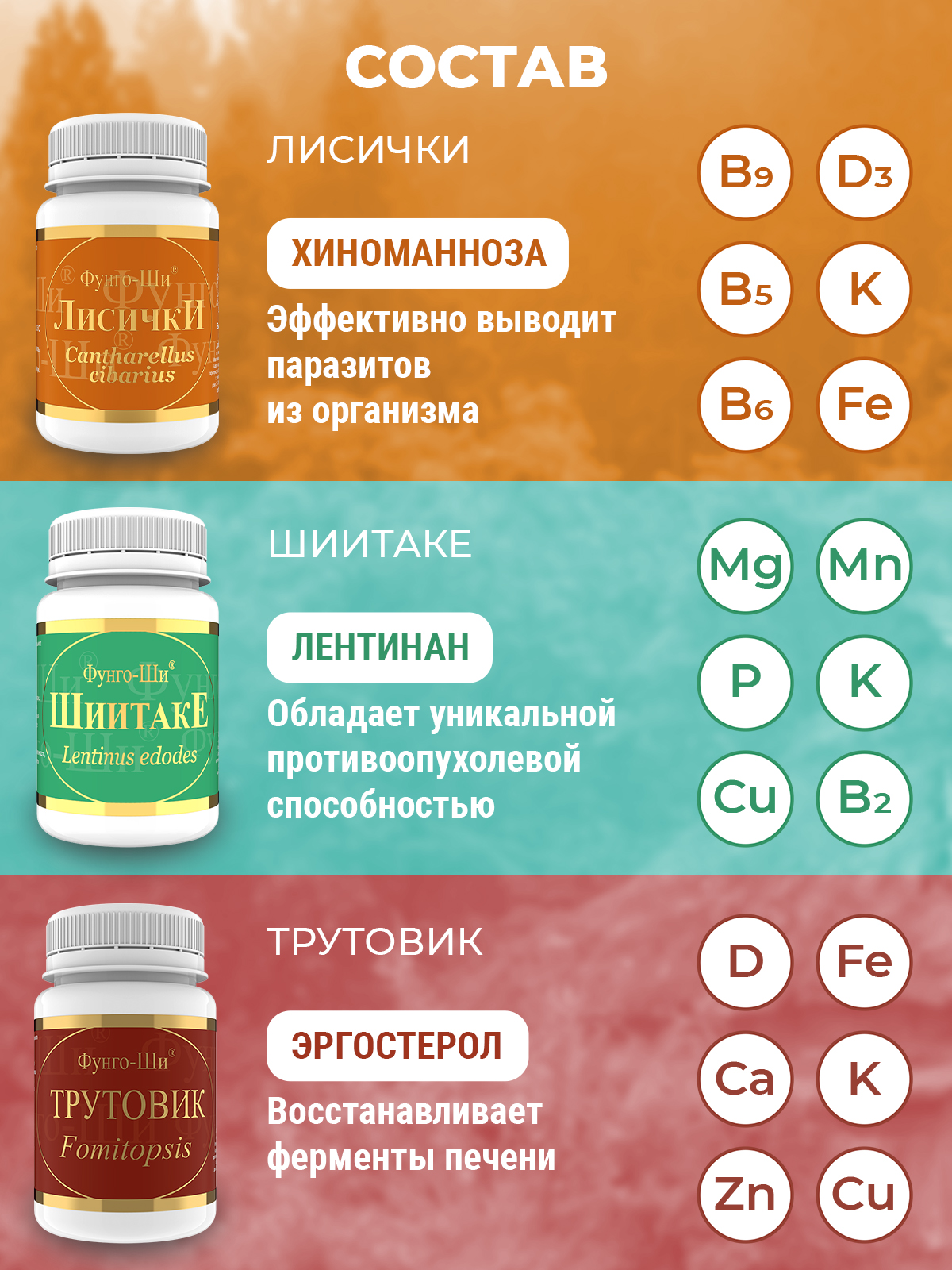 Лечебная программа Акура Грибная Аптека капсулы 180 шт. - отзывы  покупателей на Мегамаркет | 600001812696