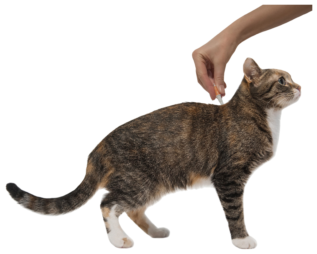 Капли для кошек против блох, глистов, клещей Bayer Адвокат, до 4 кг, 3 пипетки, 0,4 мл