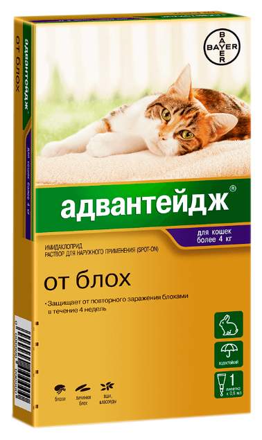 Капли для кошек против блох и вшей Bayer Адвантейдж 80K, от 4 кг, 1 пипетка, 0,8 мл