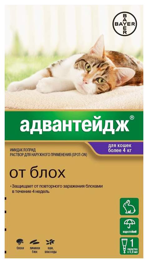 Капли для кошек против блох и вшей Bayer Адвантейдж 80K, от 4 кг, 1 пипетка, 0,8 мл