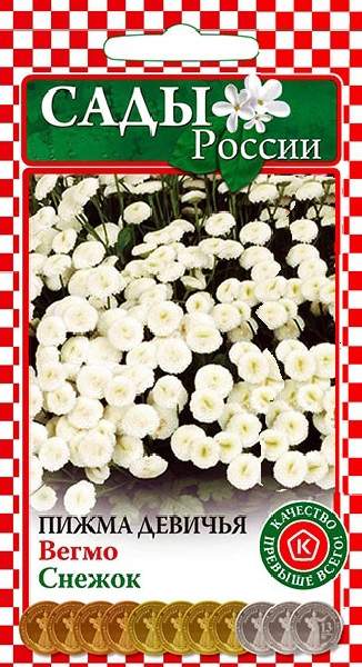 Пижма Девичья Купить Семена