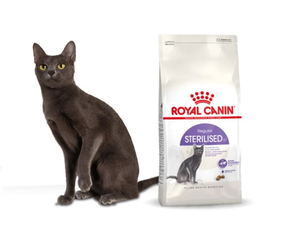 Royal canin корм для кошек взрослых. Роял Канин Sterilised 37. Роял Канин стерилизед для кошек. Корм Royal Canin Sterilised 37. Royal Canin Sterilised 37 400.