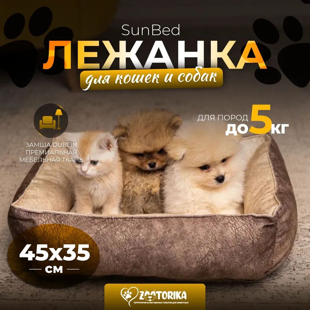 10 лучших лежанок для кошек