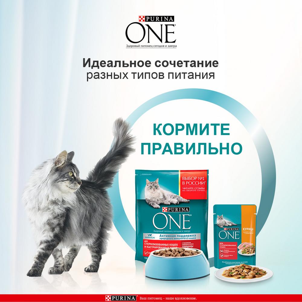 Сухой корм для кошек Purina One Природа здоровья, для стерилизованных, говядина, 680 г