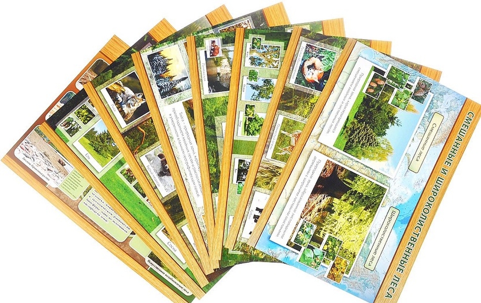 Комплект плакатов "Природные зоны: смешанные и широколиственные леса, тайга": 8 плакато…