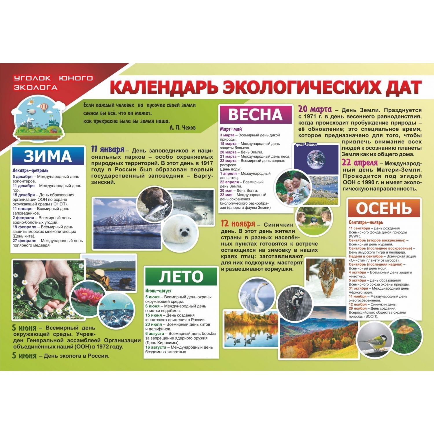 Календарь эколога на 2025г Комплект плакатов "Уголок юного эколога": 4 плаката А2 - купить демонстрационные