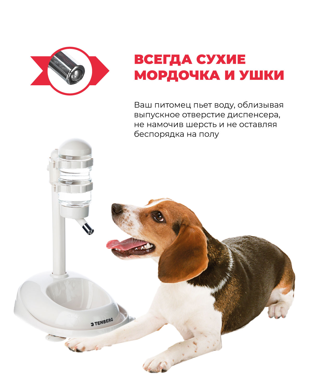 Купить поилка для собак и кошек Сухие усы Tenberg Water Dispenser White,  цены на Мегамаркет | Артикул: 600007000875