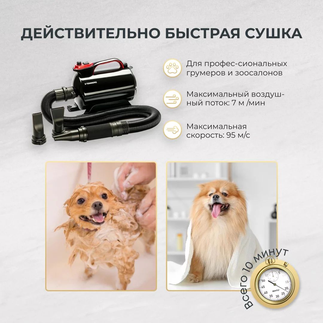 Фен-компрессор для сушки собак и кошек Tenberg Sirius Pro - отзывы  покупателей на маркетплейсе Мегамаркет | Артикул товара:600007000919