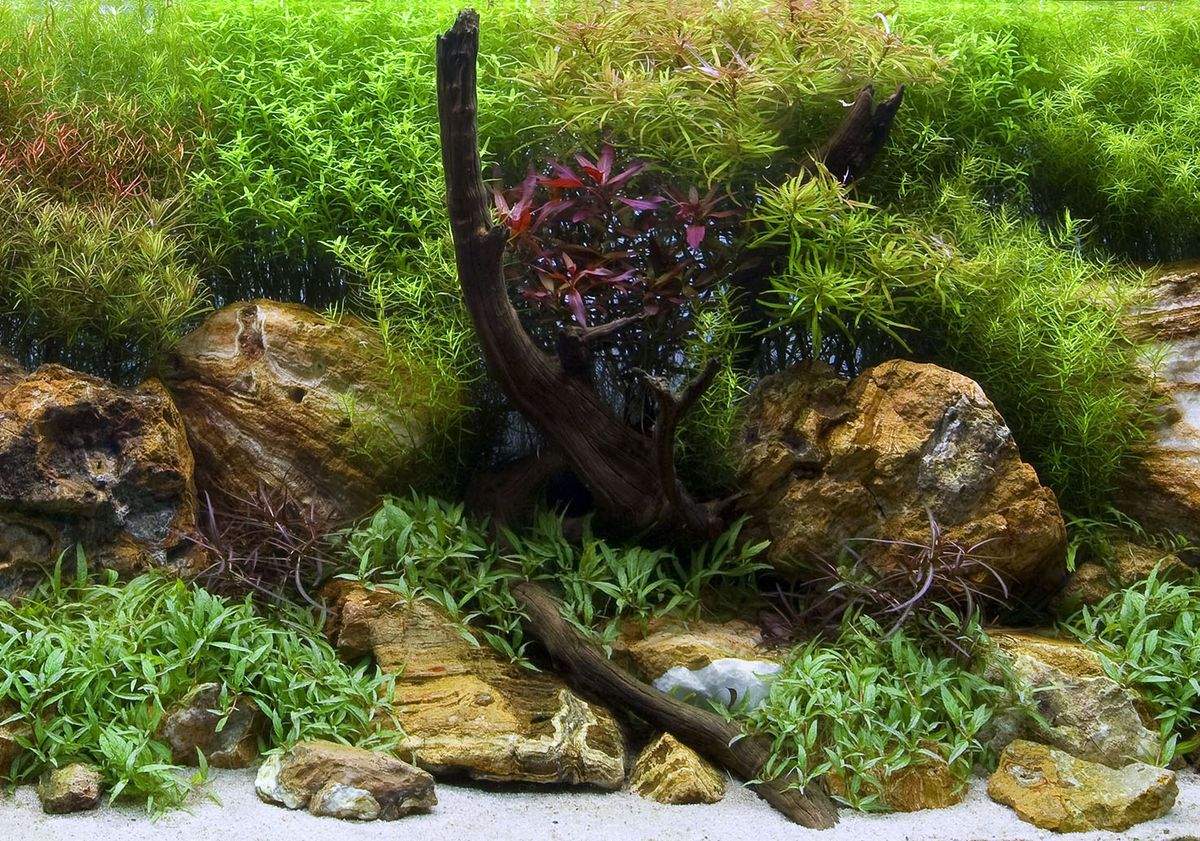 Фон для аквариума Barbus Водный сад/Яркие камни, пластик, 94x45 см
