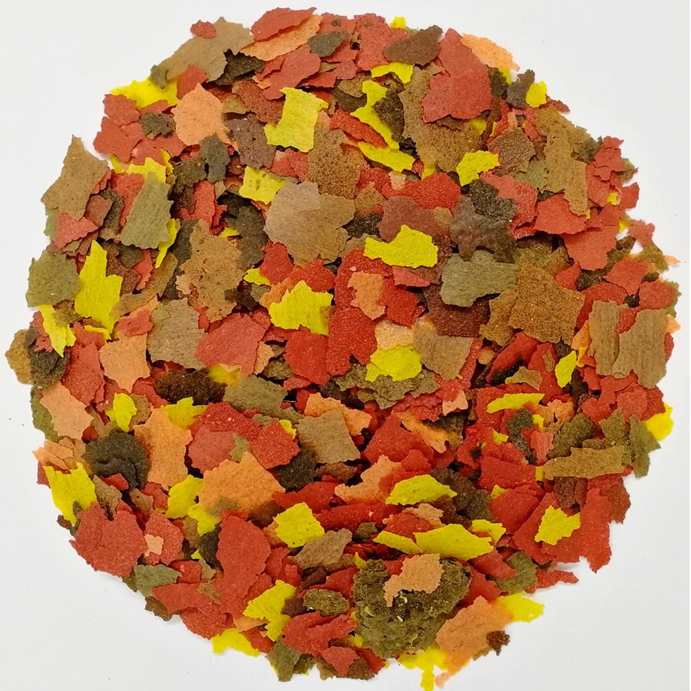 Jbl novocolor 100 мл. корм для рыб аквариумных хлопья. корм для рыб аквариумных хлопья. Jbl novobel. корм для аквариумных рыбок tetra min flakes.