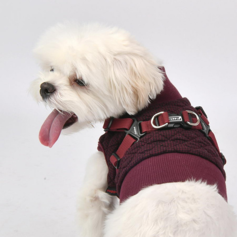 Свитер для собак Puppia Gaspar, укороченная со шлейкой, разноцветный, XL, длина спины 24см