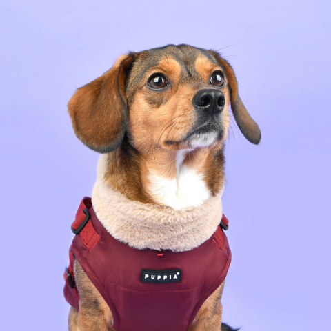 Куртка для собак Puppia Donavan, со встроенной шлейкой, красный, S, длина спины 20.5 см