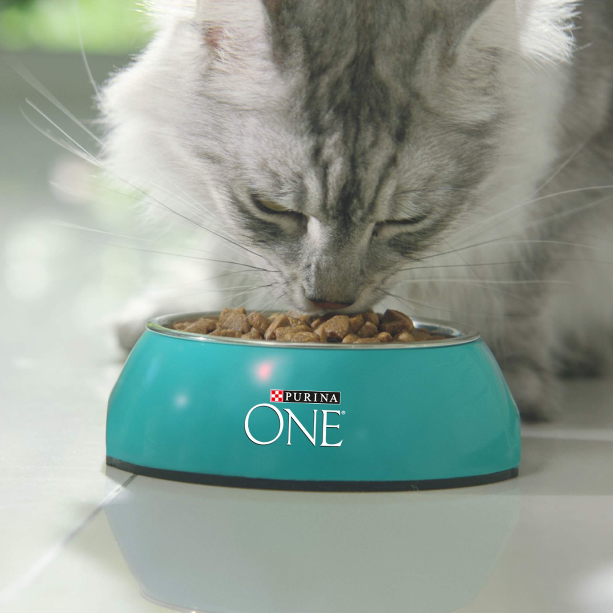 Сухой корм для кошек Purina One, для чувствительного пищеварения, индейка, рис, 1,5кг