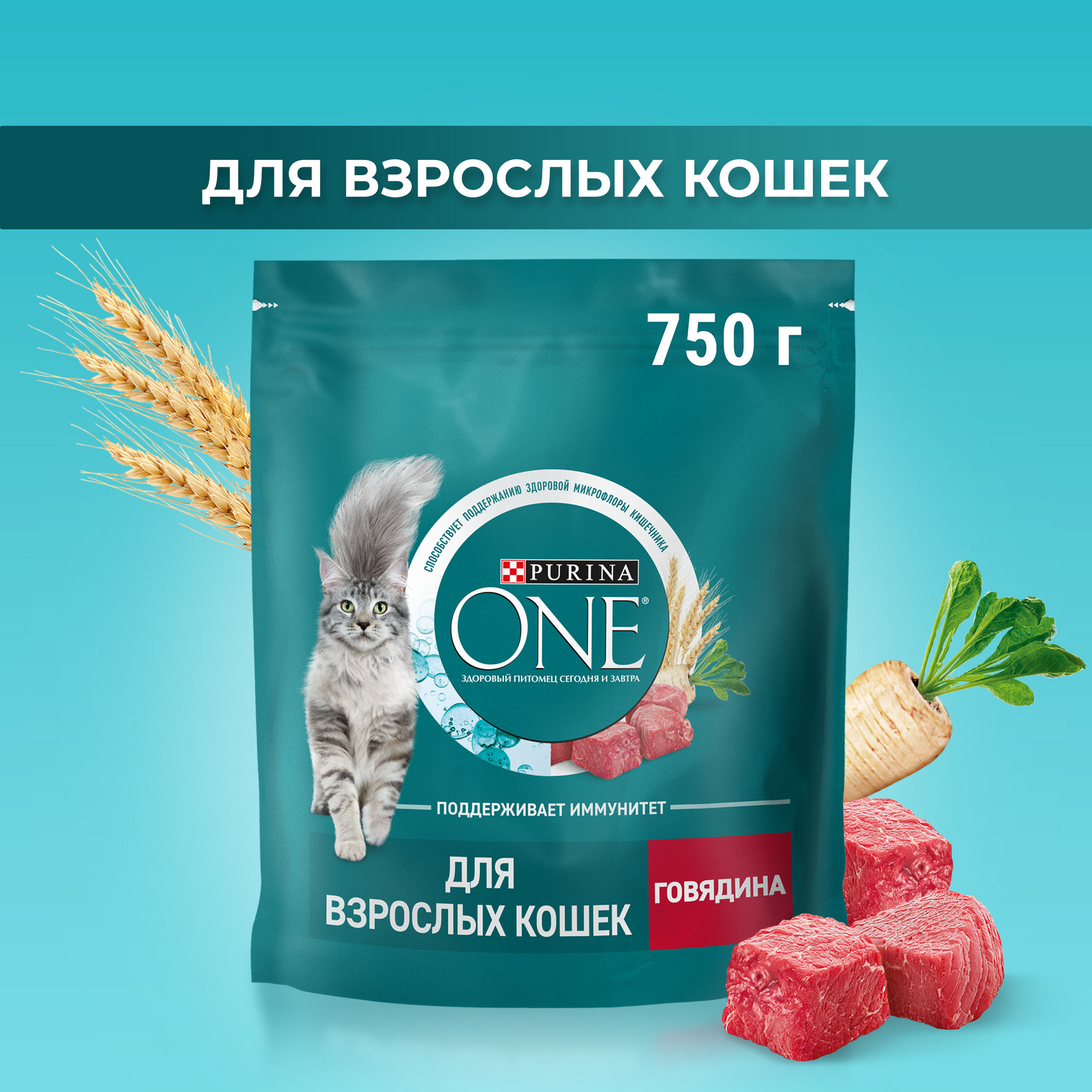 Сухой корм для кошек Purina One, говядина, пшеница, 0,75кг - отзывы  покупателей на маркетплейсе Мегамаркет | Артикул товара:100024142604