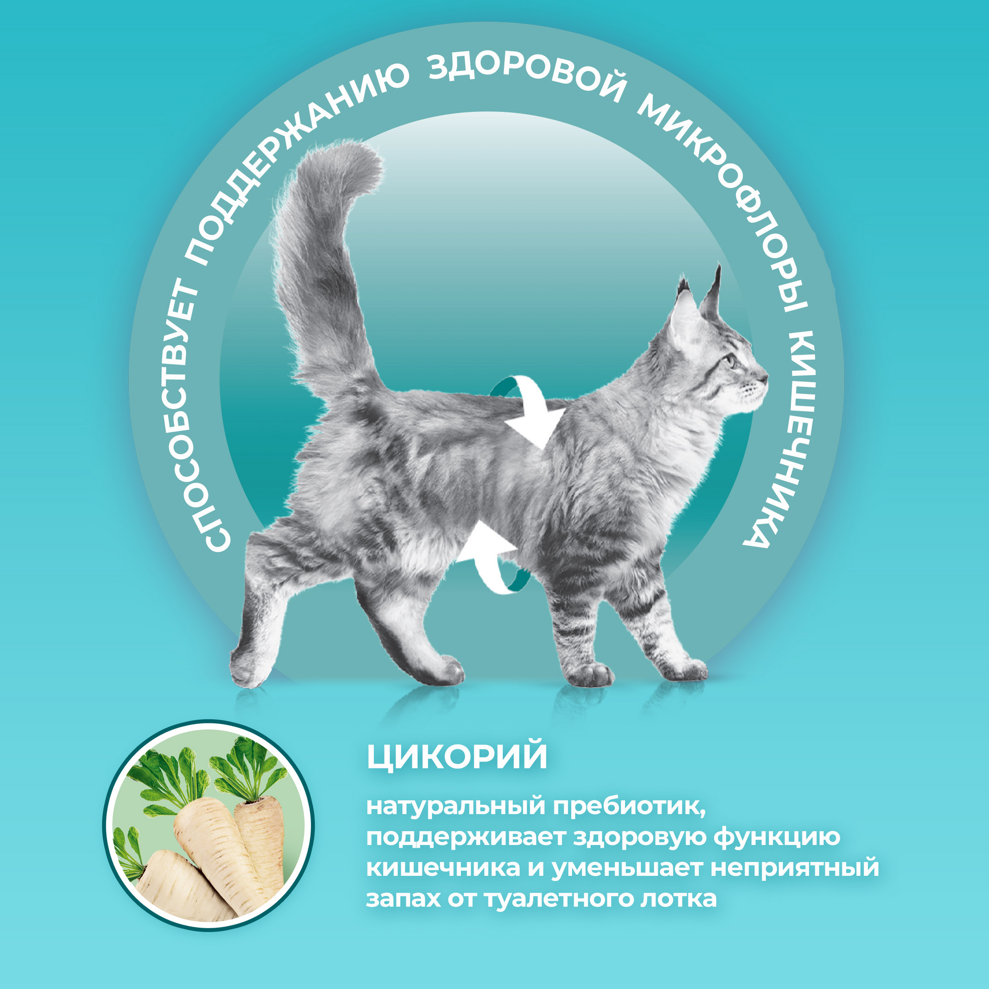 Купить сухой корм для кошек Purina ONE для стерилизованных с говядиной ...