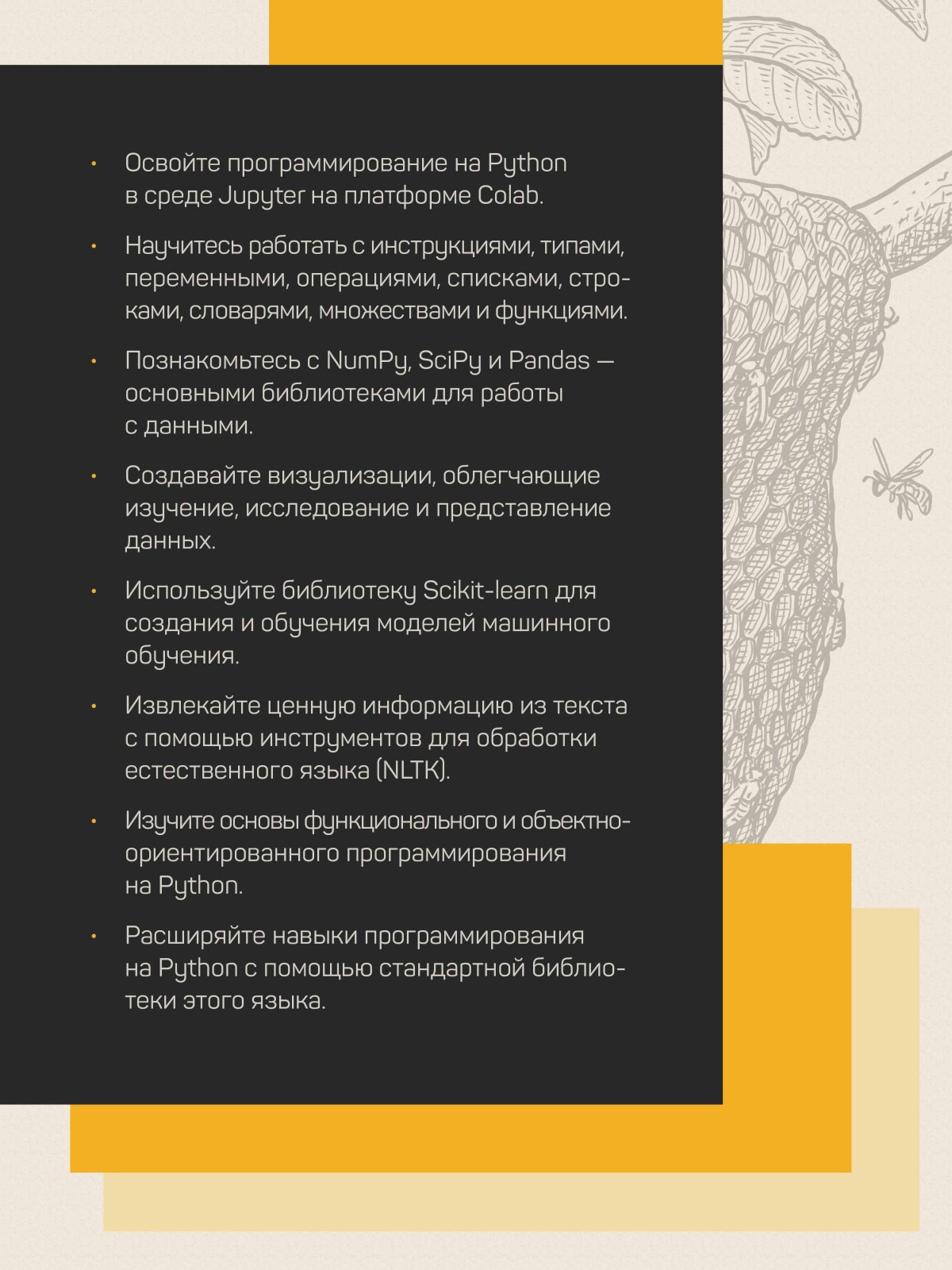 Основы python научитесь. Основы пайтон. основы python книга. основы пайтона. основы питона.