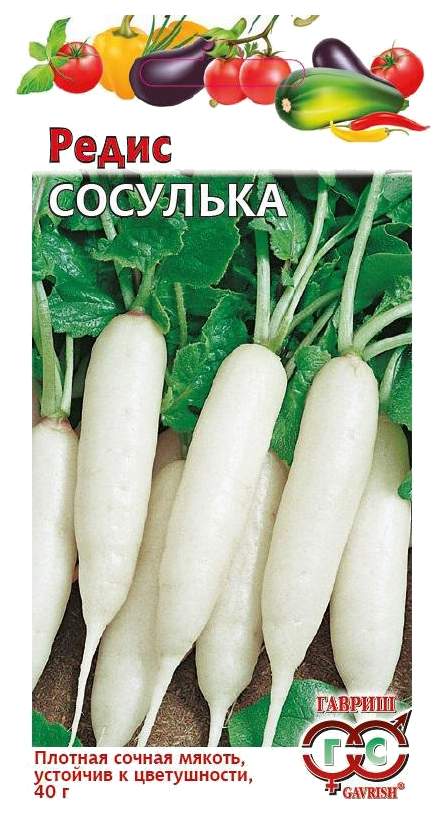 Редис ледяная сосулька фото