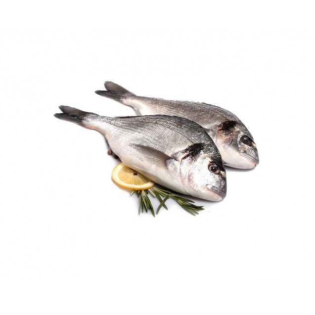 Дорадо шоп. Дорадо рыба 400 600. Дорадо рыба. Дорадо рыба охлажденная. Королевская дорадо.