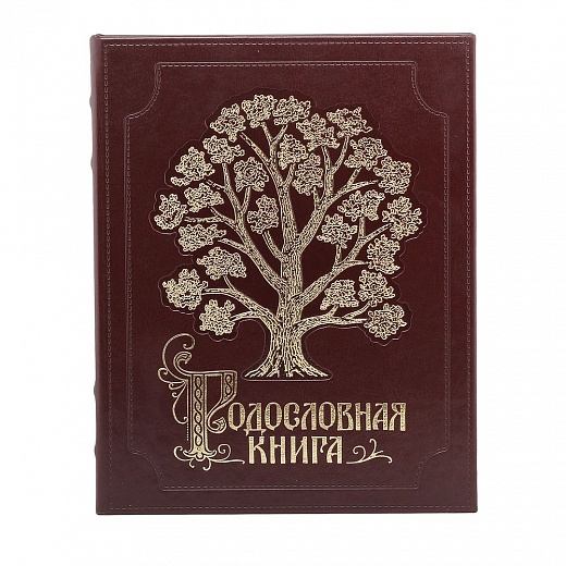 Дизайн родословной книги