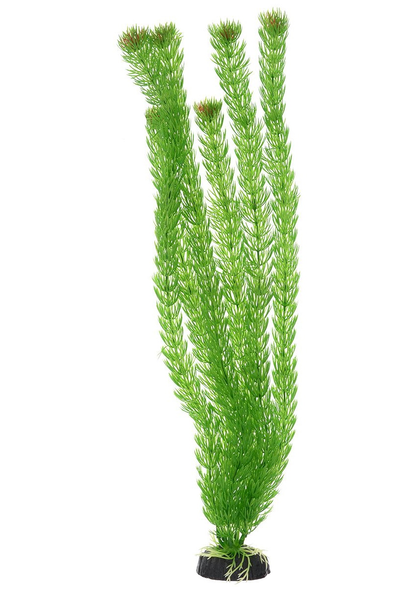 Искусственное растение для аквариума Barbus Амбулия зеленая Plant 002 50 см, пластик