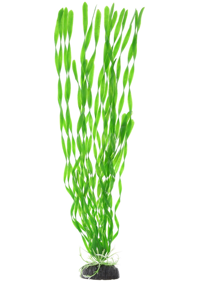 Искусственное растение для аквариума Barbus Валиснерия спиральная зеленая Plant 014 50 см