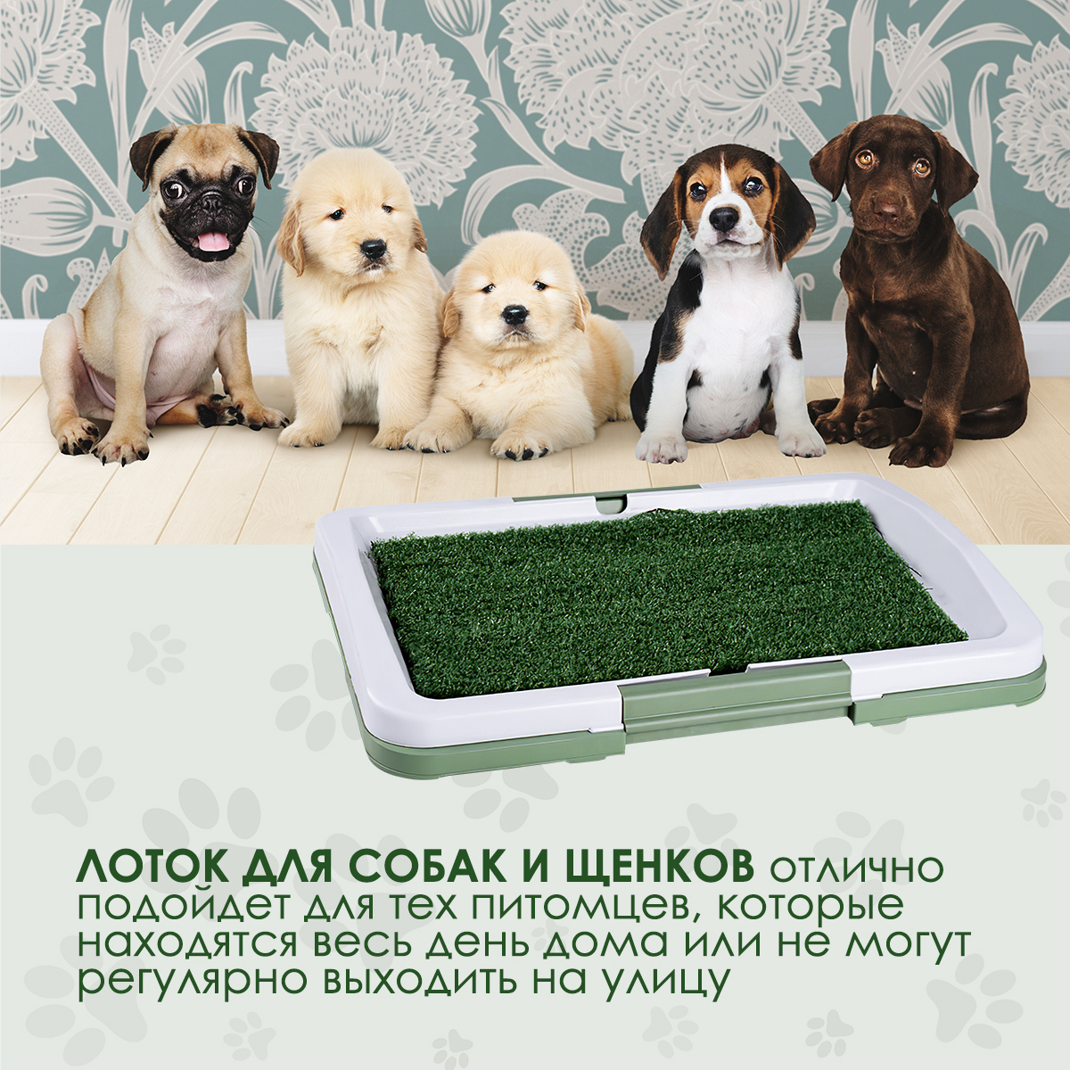 Лоток для собак и щенков Pets & Friends PF-DTR-01 с искусственной травой,  47х34х6 см - купить на Мегамаркет