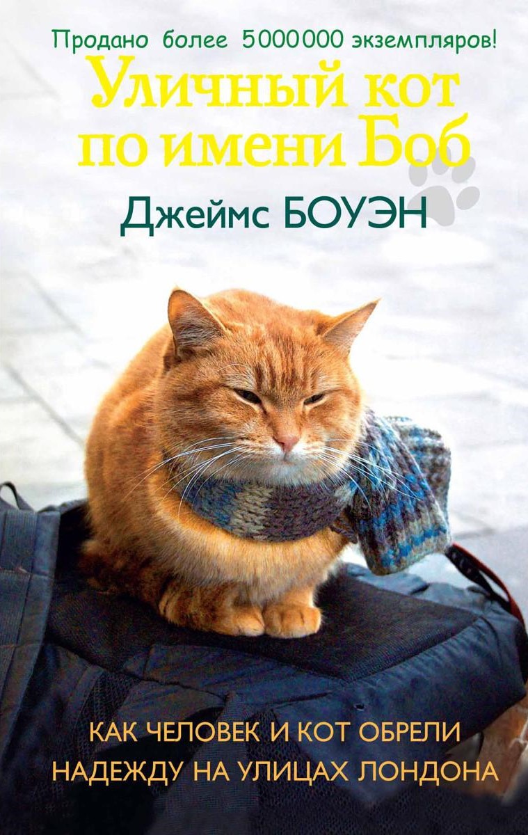 Кот боб книга. Кот по имени Боб. A Street Cat named Bob книга. Джеймс Боуэн уличный кот по имени Боб книга.