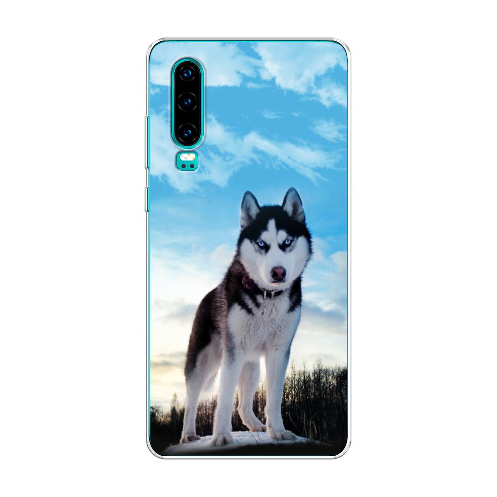 Чехол Awog на Huawei P30 